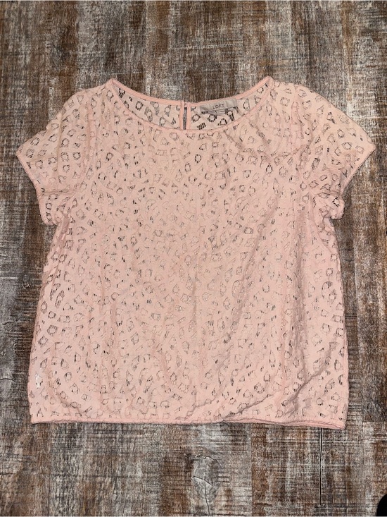 LOFT Tops - LOFT Blush Lace Short Sleeve Blouse
